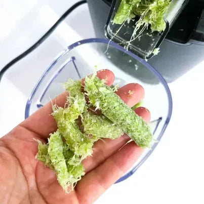 מה לעשות עם העיסה